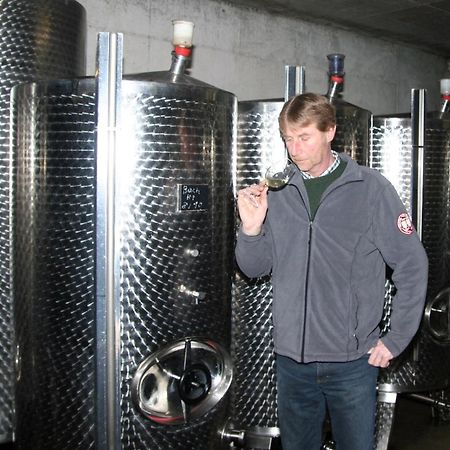 ホテル Ferienweingut Hensler ブリーデル エクステリア 写真