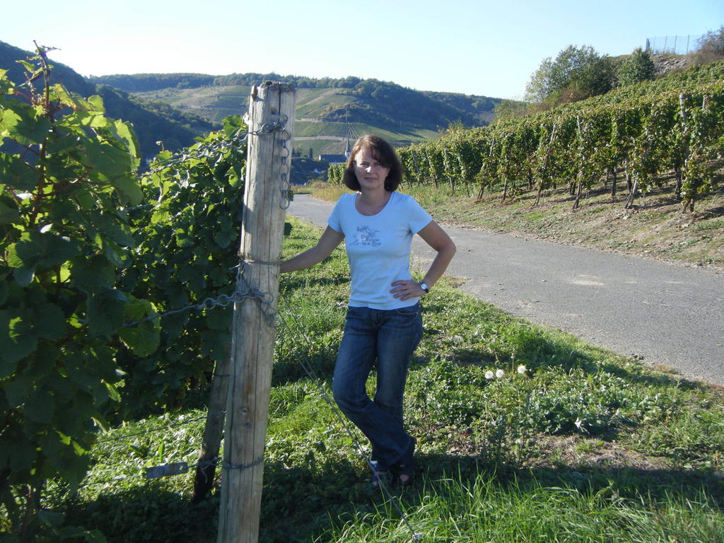ホテル Ferienweingut Hensler ブリーデル 部屋 写真