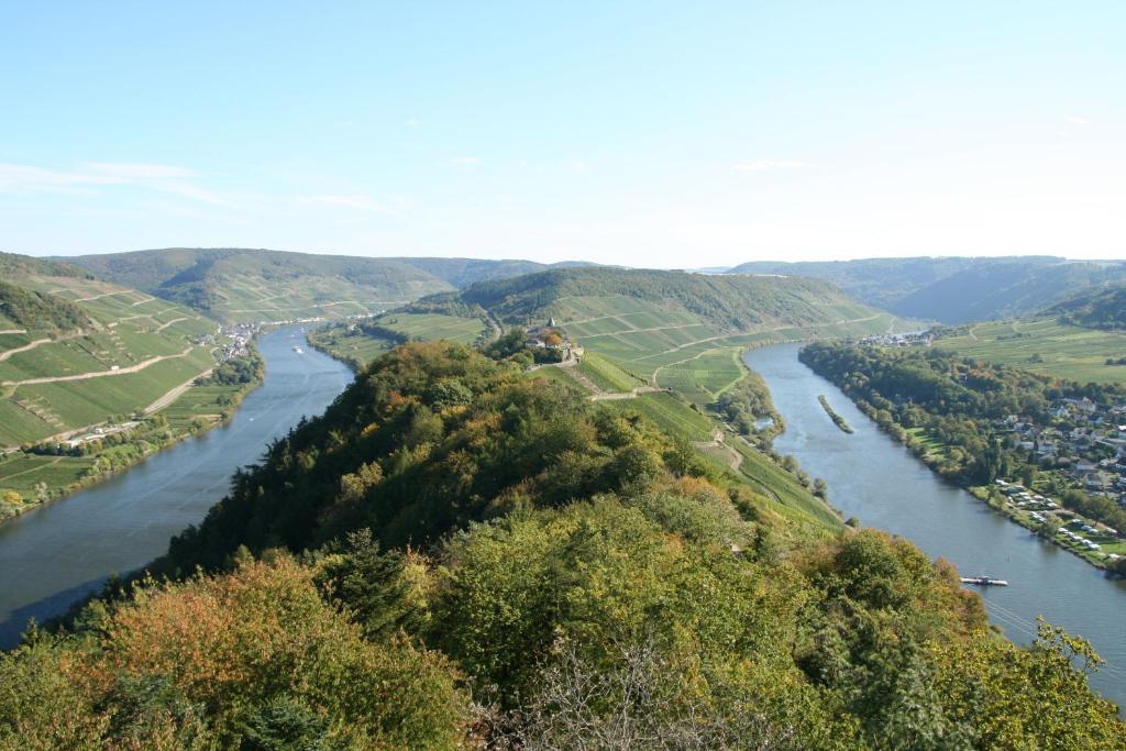 ホテル Ferienweingut Hensler ブリーデル エクステリア 写真