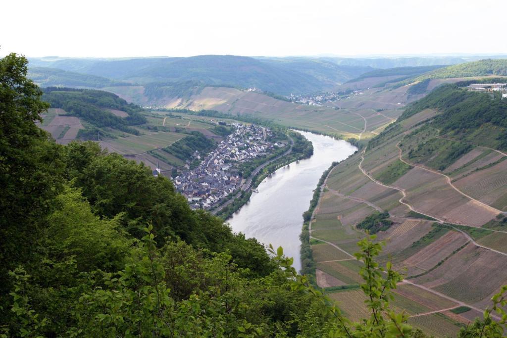 ホテル Ferienweingut Hensler ブリーデル エクステリア 写真
